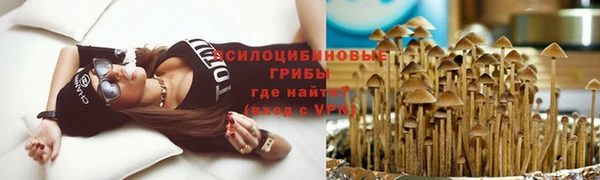 PSILOCYBIN Россошь