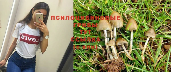 стаф Абинск