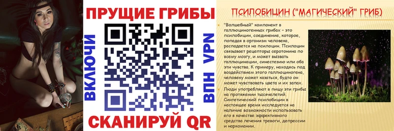 Псилоцибиновые грибы мицелий  Духовщина 