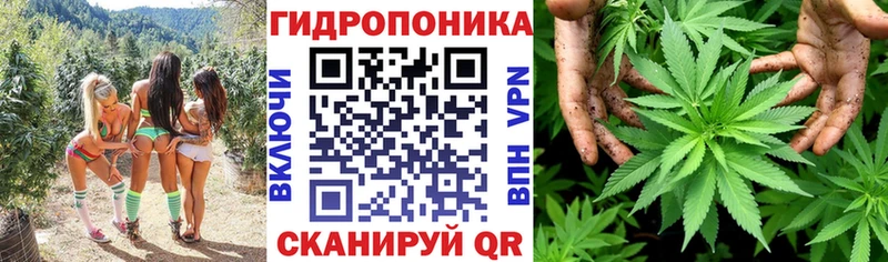 Бошки Шишки план  Духовщина 